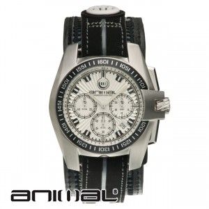 Animal Hurricane Watch