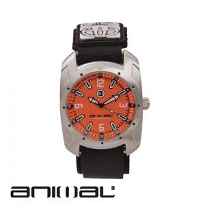 Animal Off Shore Watch
