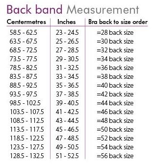 Plus Size Lingerie Guide